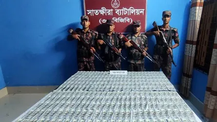 সাতক্ষীরা সীমান্তে ৩০ হাজার মার্কিন ডলার জব্দ