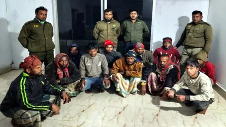 সুন্দরবনের অভয়ারণ্যে মাছ ধরার অপরাধে ১১ জেলে আটক