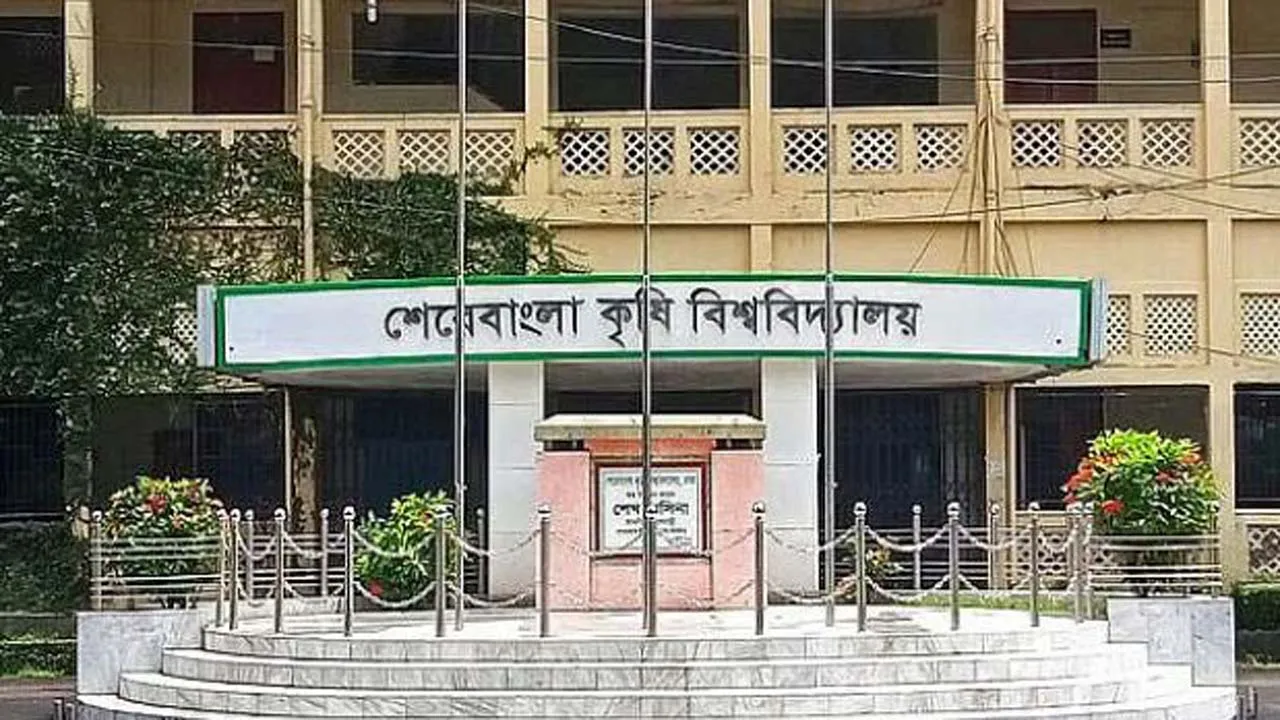 আমদানিনির্ভর কয়লা ও এলএনজি  ব্যবস্থার মধ্যে আটকে যাচ্ছে দেশ