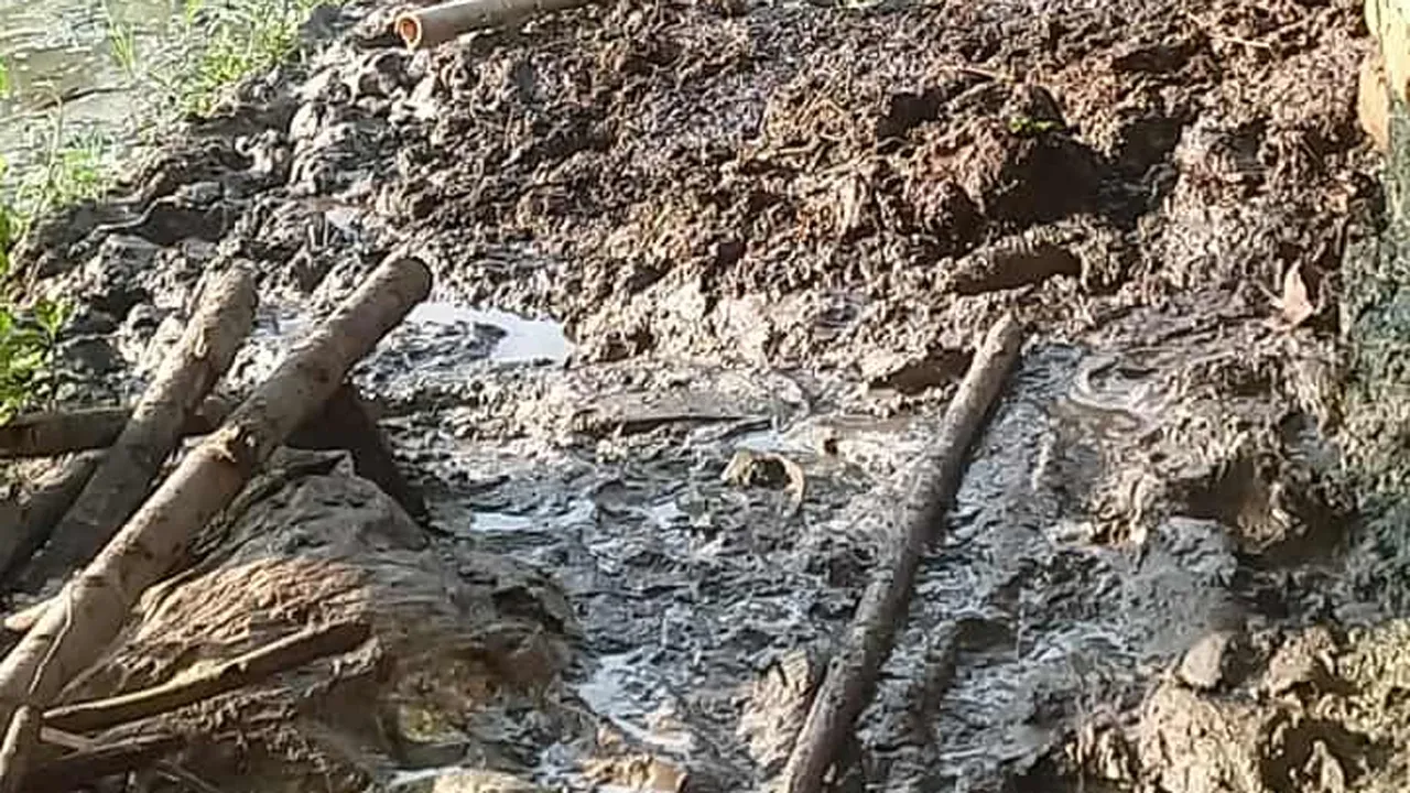 টাঙ্গাইলে আগুনে পুড়লো কৃষকের পাঁচটি গরু