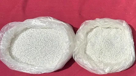 দর্শনায় ১১ কেজি ভারতীয় দানাদার রুপা উদ্ধার, আটক ২