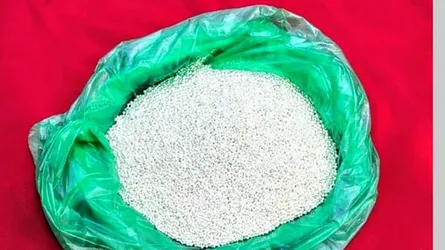 দর্শনা সীমান্তে ৬ কেজি ভারতীয় রুপা উদ্ধার