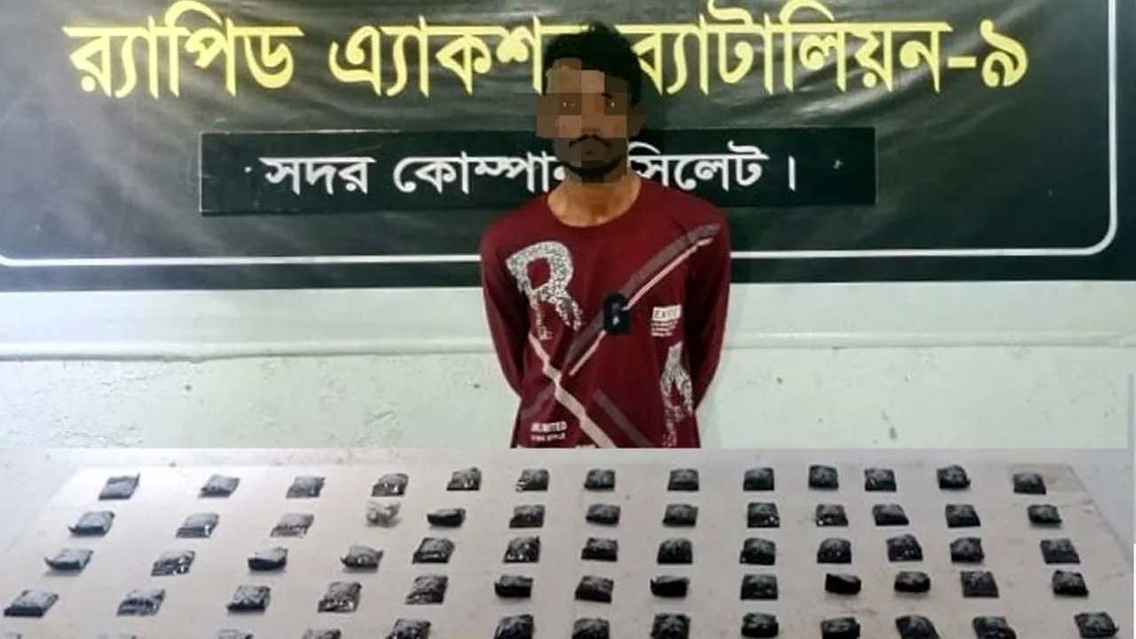 সিলেটে বিপুল পরিমাণে ইয়াবাসহ আটক ১