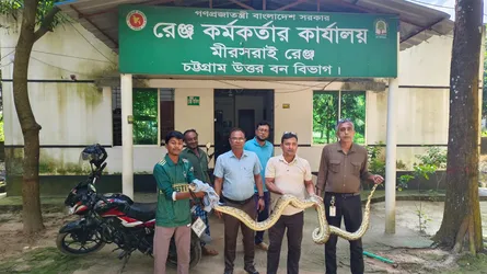 মিরসরাইয়ে লোকালয়ে অজগর, বনে অবমুক্ত