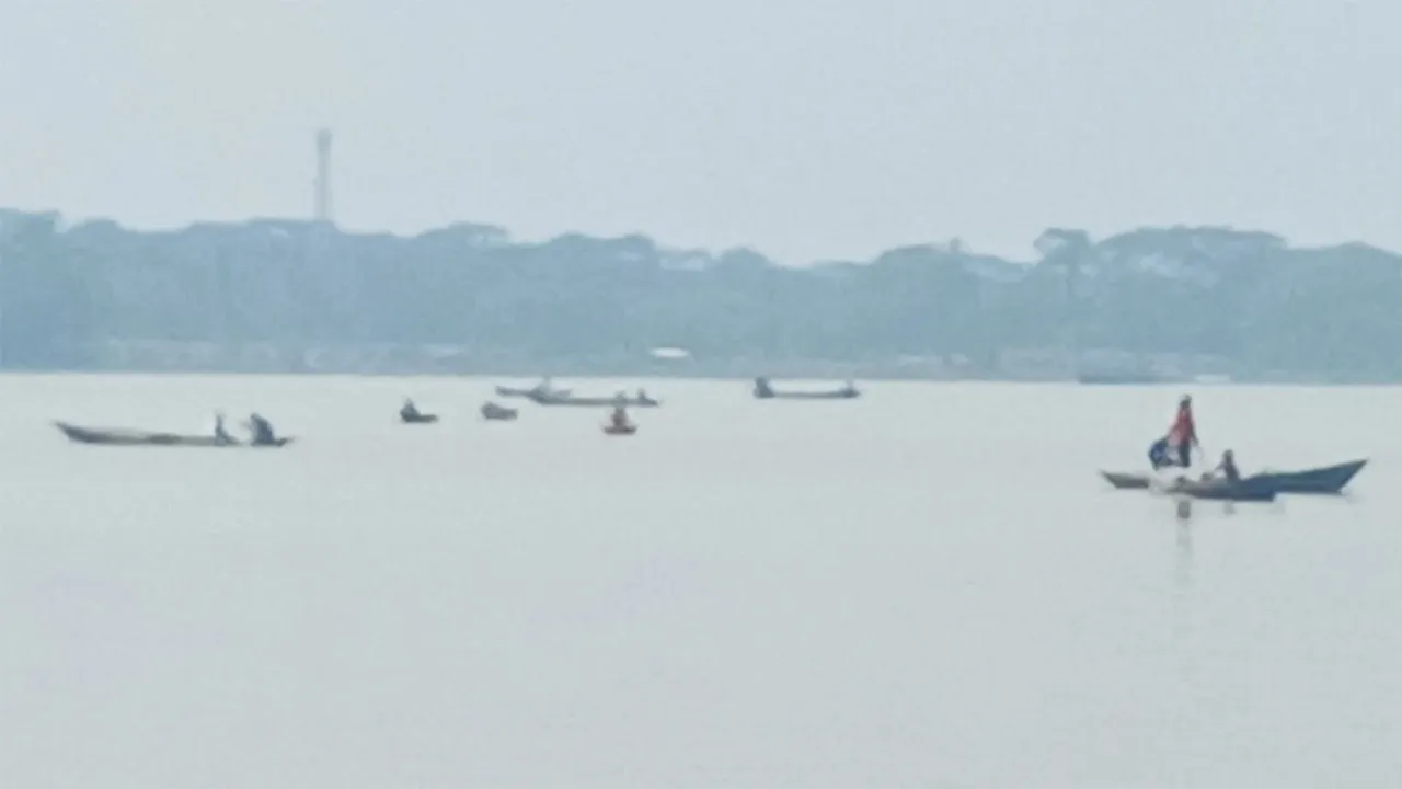 উজিরপুরে নিষেধাজ্ঞা অমান্য করেই সন্ধ্যা নদীতে চলছে ইলিশ ধরার মহোৎসব