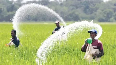 ৩০ হাজার টন সার কিনবে সরকার