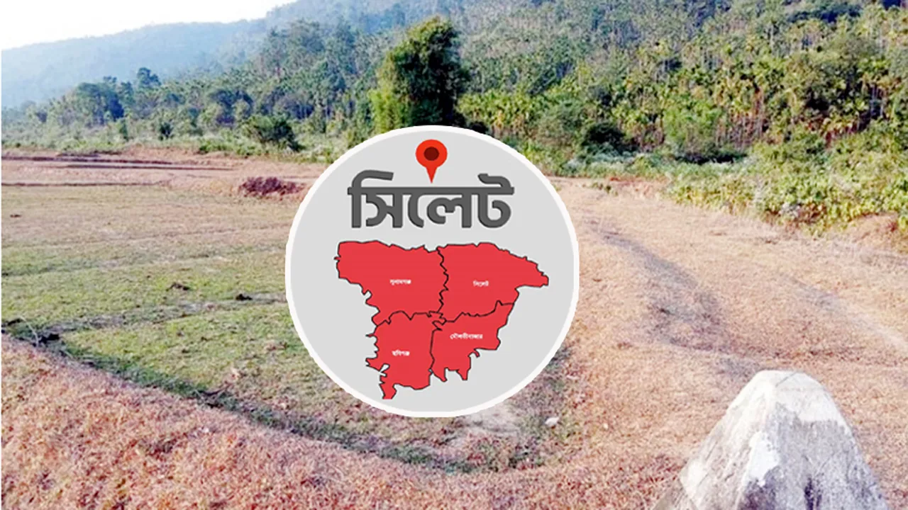 সিলেট সীমান্তে ভারতে অনুপ্রবেশের চেষ্টা, নারী-শিশুসহ আটক ১১