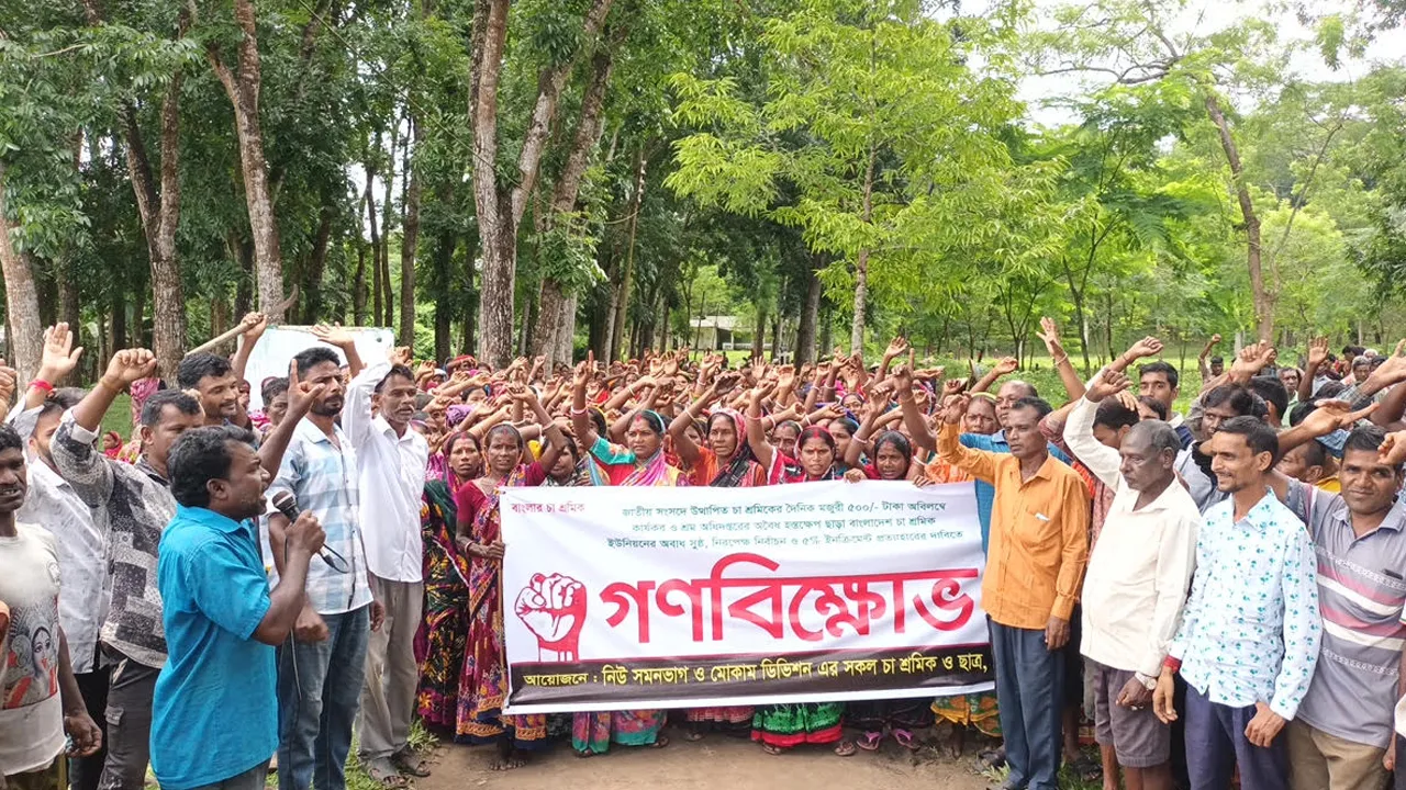 বড়লেখায় দৈনিক ৫০০ টাকা মজুরির দাবিতে চা শ্রমিকদের বিক্ষোভ