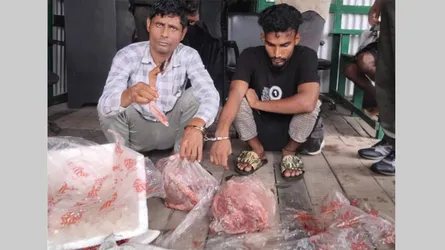 শরণখোলায় হরিণের গোশতসহ আটক ২