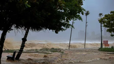 ভিয়েতনামের দিকে ধেয়ে আসছে টাইফুন ‘কাজিকি’