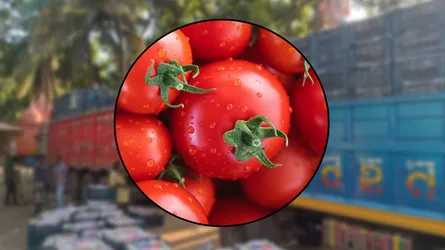 হিলি বন্দর দিয়ে টমেটো আমদানি শুরু
