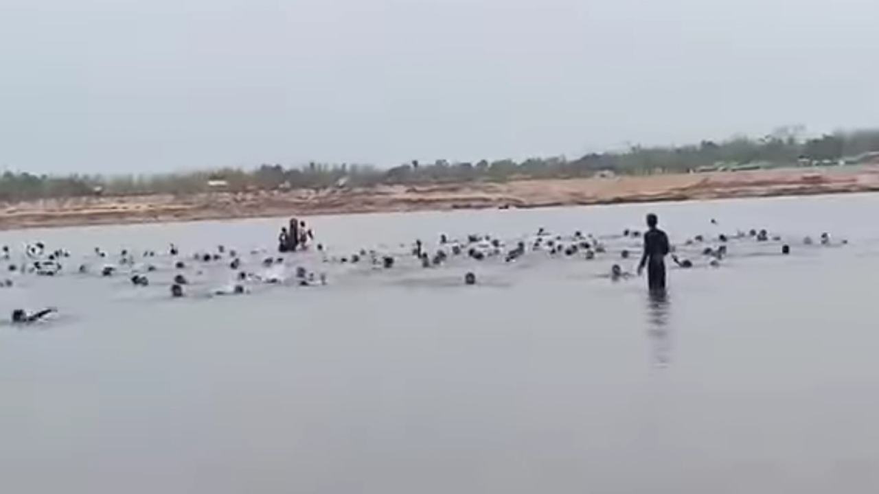 trahirpur-boat