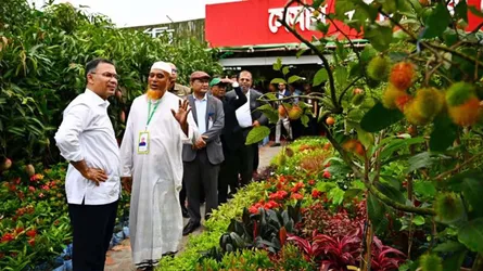 বৃক্ষমেলায় প্রধানমন্ত্রীর অন্যরকম একটি দিন