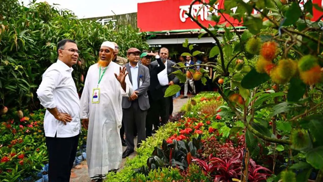 বৃক্ষমেলায় প্রধানমন্ত্রীর অন্যরকম একটি দিন