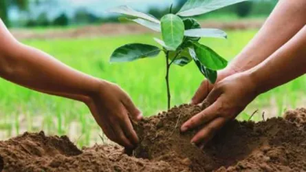 ‘সন্তানের জন্মদিনে গাছ লাগালেন’ ডেপুটি স্পিকার