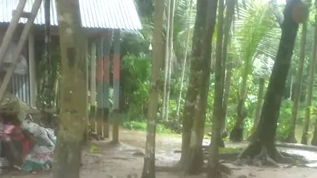 ত্রিশালে আ’লীগনেতার বিরুদ্ধে সরকারি রাস্তা বন্ধের অভিযোগ