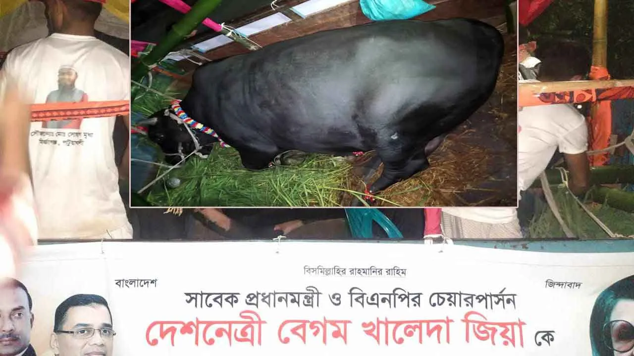 উপহার নয়, মানুষের মাঝে ভালোবাসা বিলিয়ে দাও