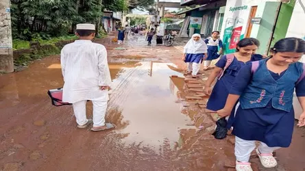 ভান্ডারিয়া পৌর সড়কের বেহালদশা, চলাচলে দুর্ভোগ