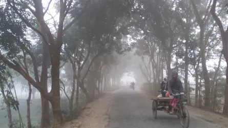 তেঁতুলিয়ায় তাপমাত্রা ৮ ডিগ্রির ঘরে