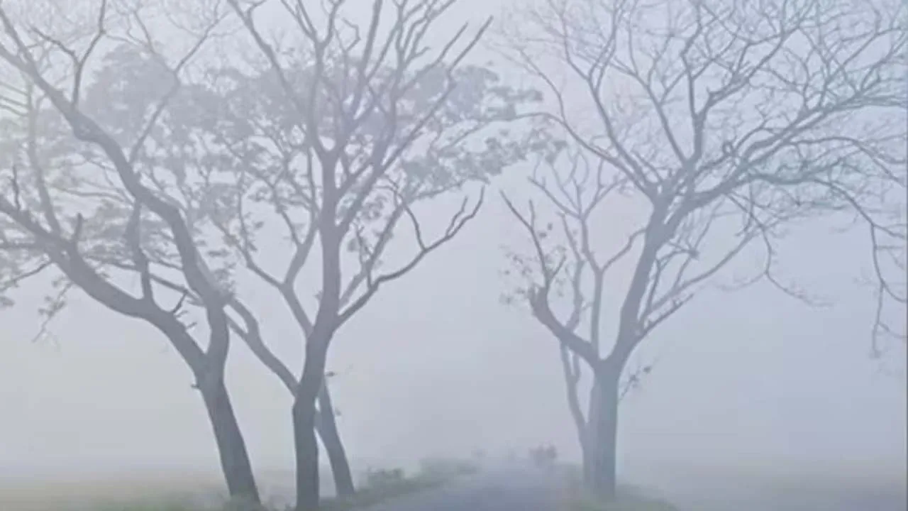 শৈত্যপ্রবাহ অব্যাহত থাকতে পারে