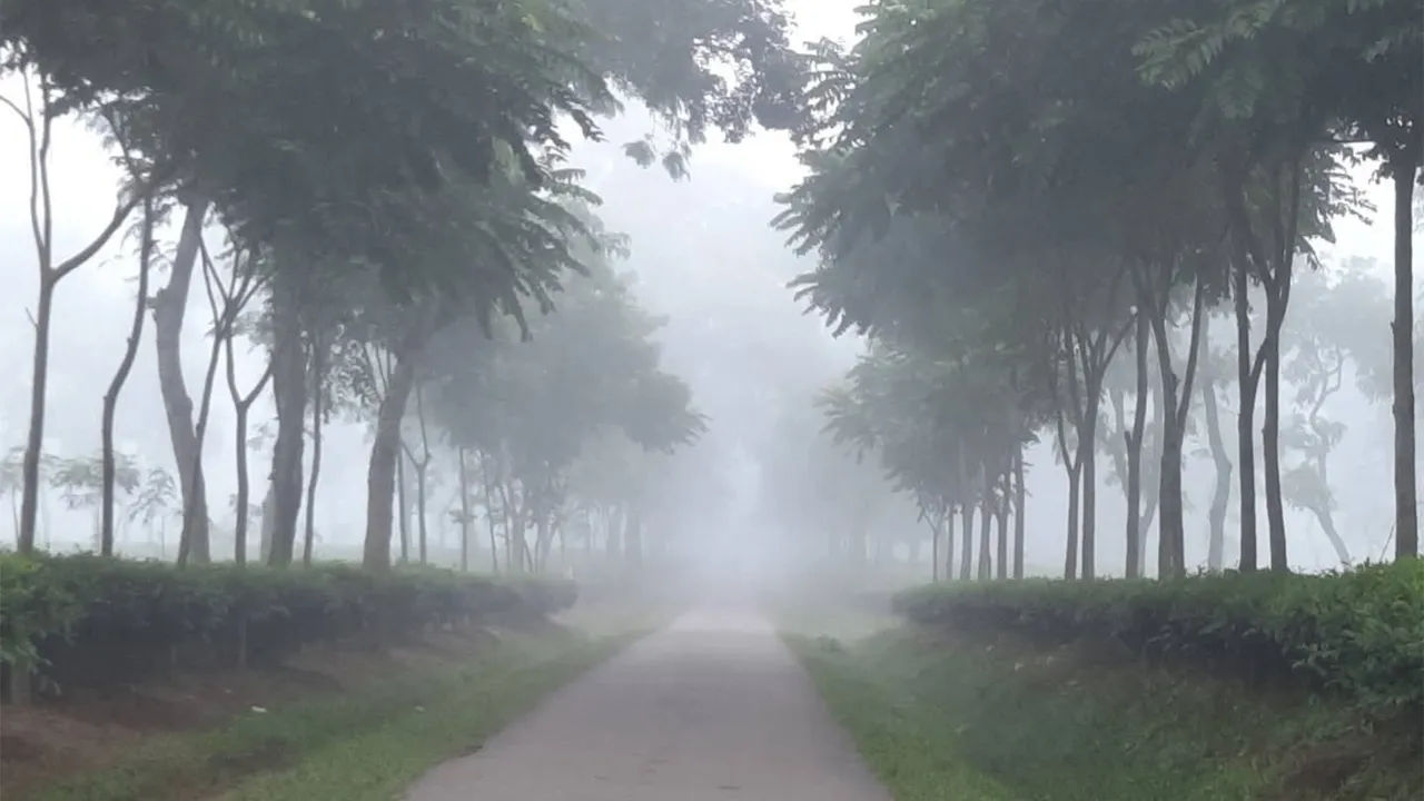 তীব্র শীতে কাঁপছে শ্রীমঙ্গল, তাপমাত্রা ৭ ডিগ্রি