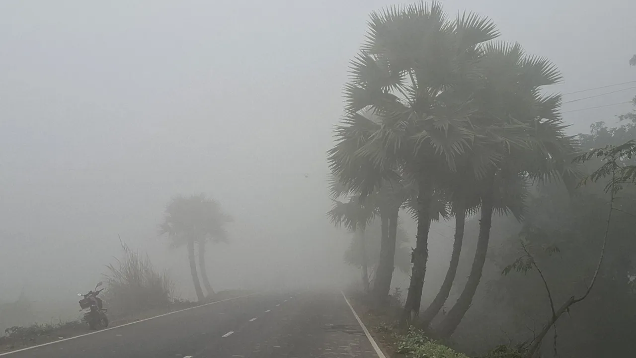 নওগাঁয় তাপমাত্রা ৯ ডিগ্রির ঘরে