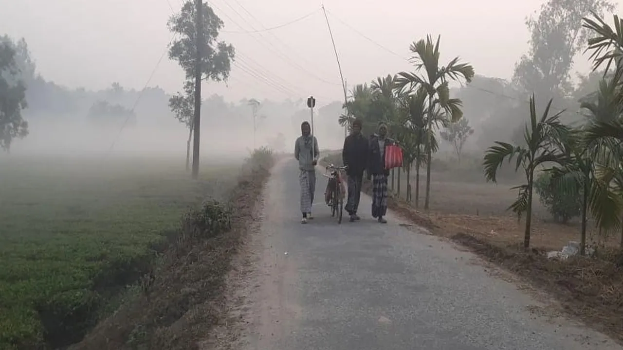 তেঁতুলিয়ায় তাপমাত্রা ১১.৭ ডিগ্রি, বাড়ছে শীতের তীব্রতা