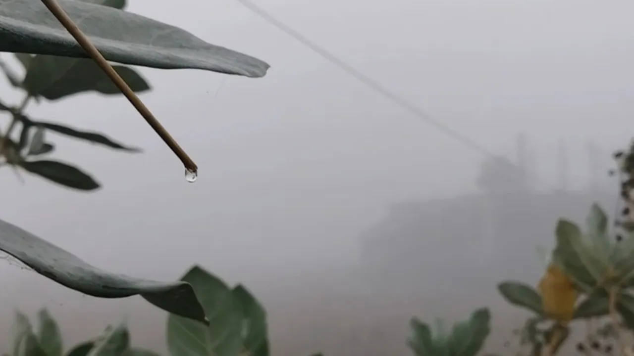 কুয়াকাটায় তীব্র শীত ও ঘন কুয়াশায় জনজীবন বিপর্যস্ত