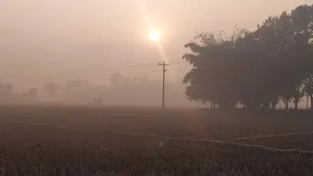 প্রচণ্ড শীতে অতিষ্ঠ পঞ্চগড়ের জনজীবন