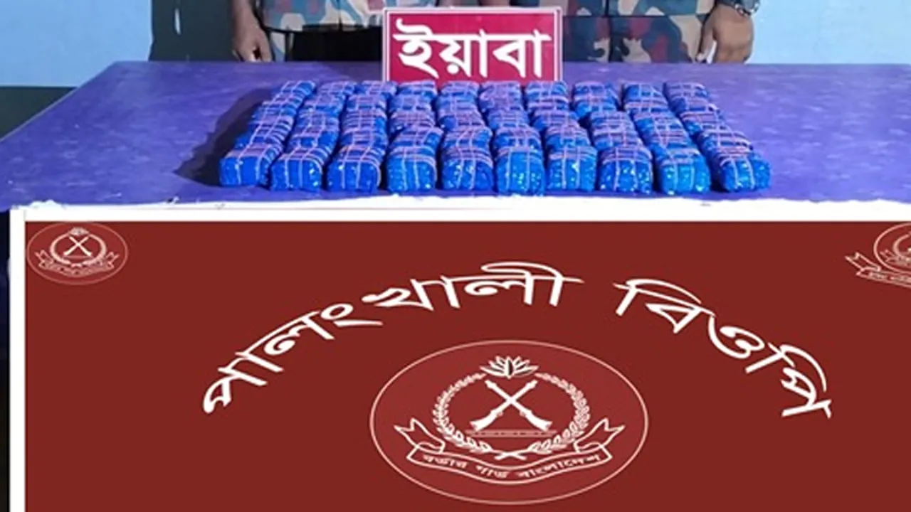 উখিয়া সীমান্তে ১ লাখ পিস ইয়াবা জব্দ