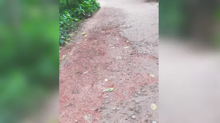 বাঘারপাড়ায় ৫ বছরেও শেষ হয়নি সড়কের কার্পেটিংয়ের কাজ