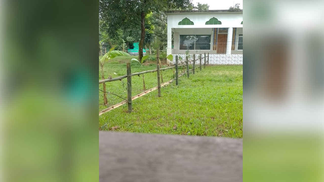 দখলকৃত জমির একাংশ