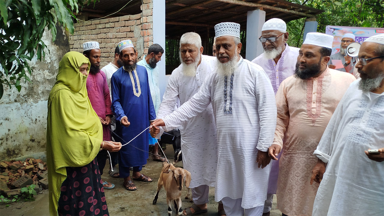 জামায়াতের উদ্যোগে গরু-ছাগল বিতরণ