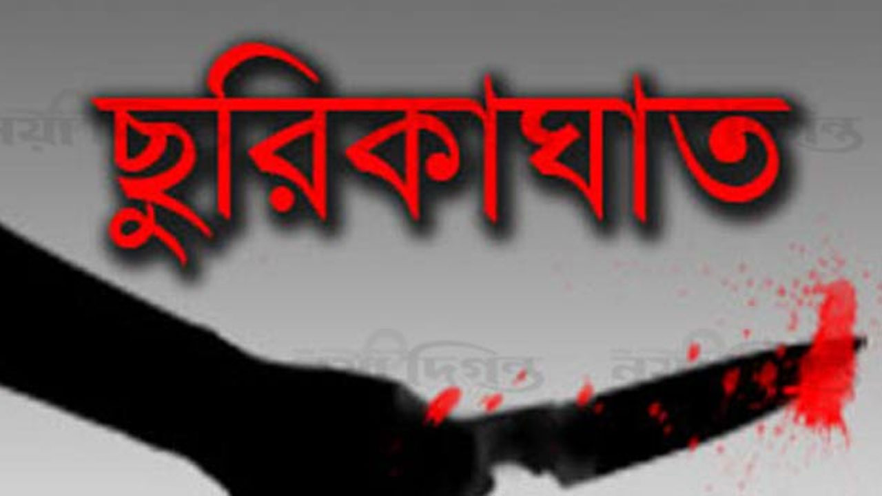 শিশু পার্কে সামনে ছিনতাইকারীর ছুরিকাঘাতে স্বামী-স্ত্রী আহত