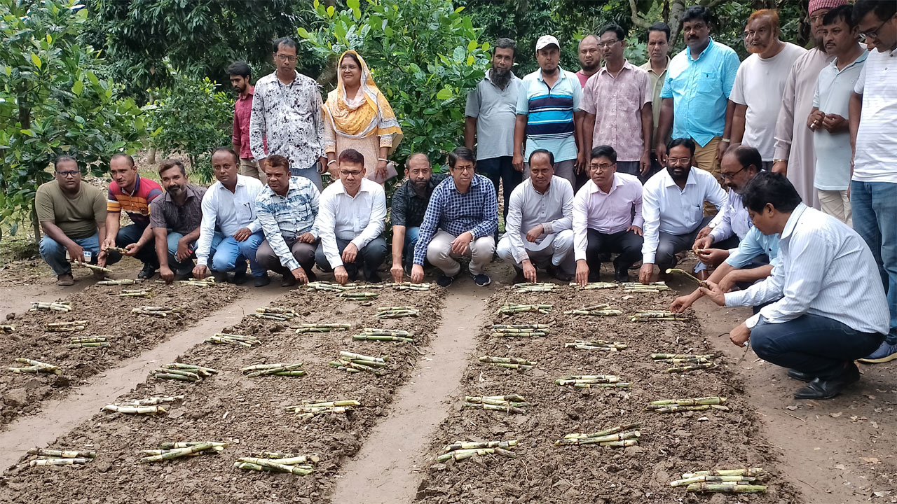 শিল্প মন্ত্রণালয়ের সিনিয়র সহকারী সচিব মানিক উদ্দিন