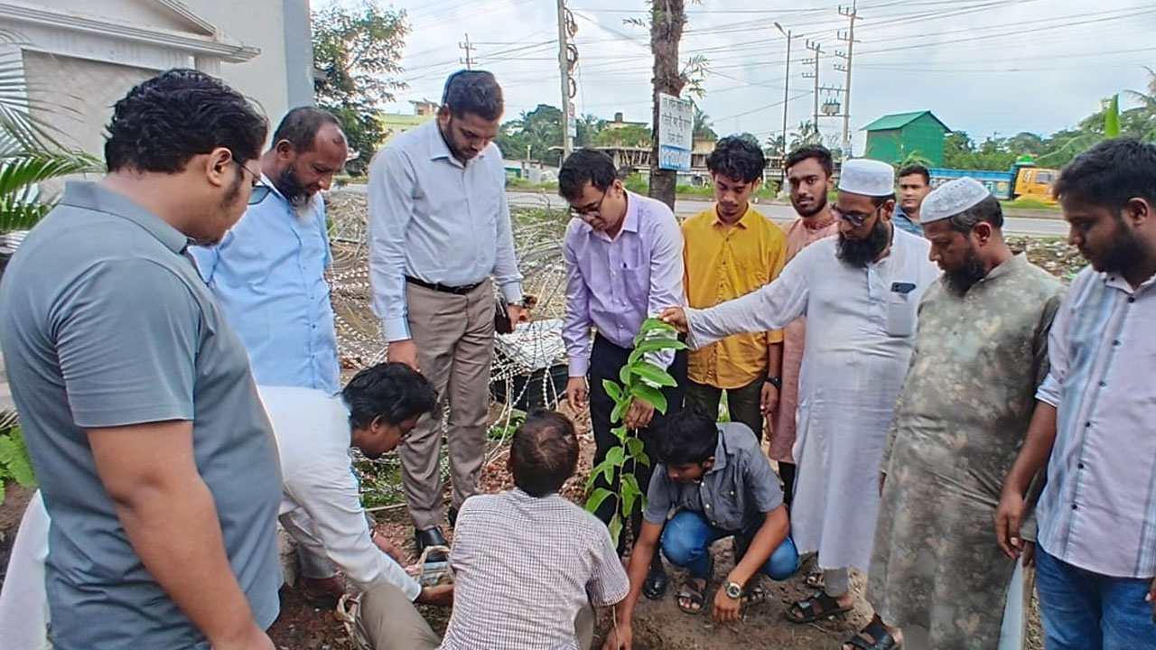 দাগনভূঞায় শহীদদের স্মরণে ‘এক শহীদ এক বৃক্ষ’ কর্মসূচি