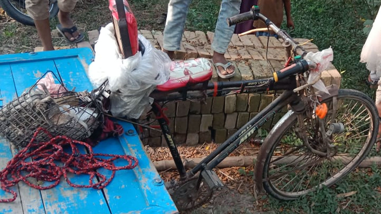 চাটমোহরে ট্রাকচাপায় অটোভ্যান চালকের মৃত্যু