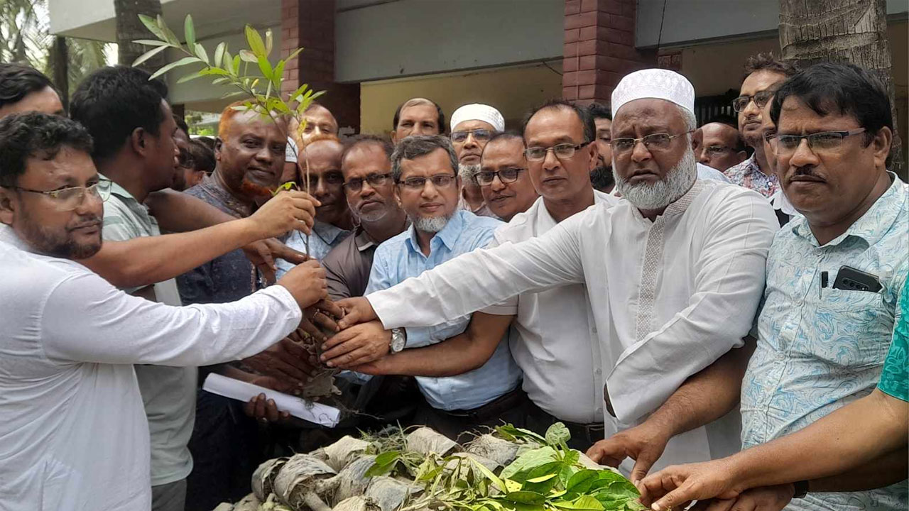 বিএনপির উদ্যোগে বৃক্ষরোপণ কর্মসূচি উদ্বোধন
