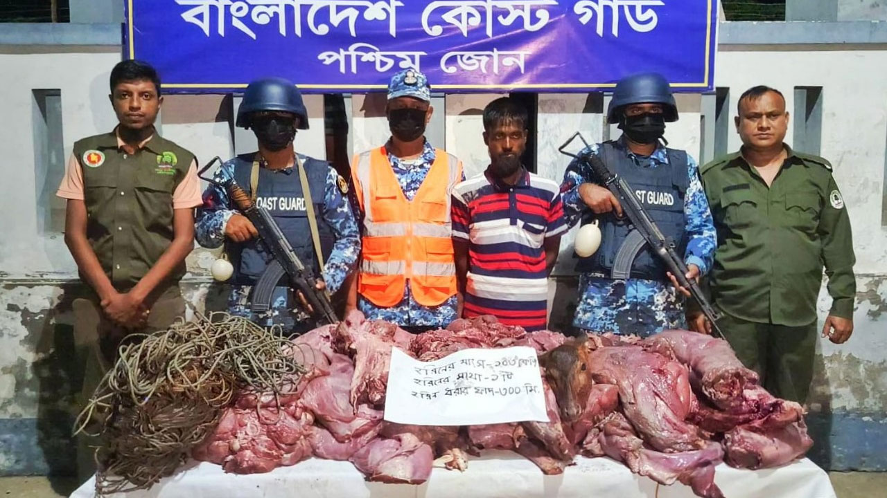সুন্দরবনে হরিণের গোশতসহ শিকারি আটক করেছে কোস্ট গার্ড