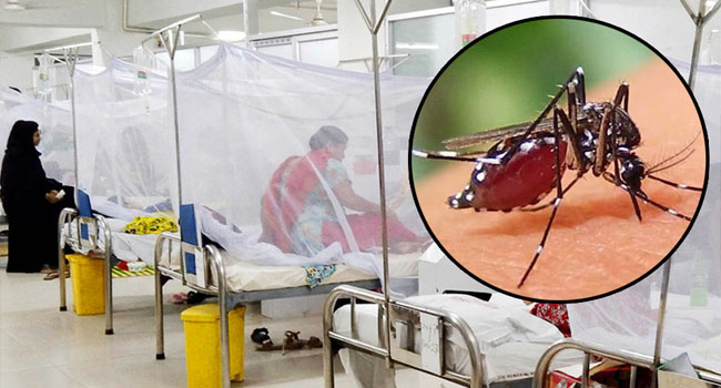 ডেঙ্গুতে হাসপাতালে ভর্তি ১৫৮