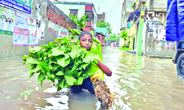 টানা বৃষ্টিতে তলিয়ে যাওয়া নারায়ণগঞ্জের একটি এলাকা