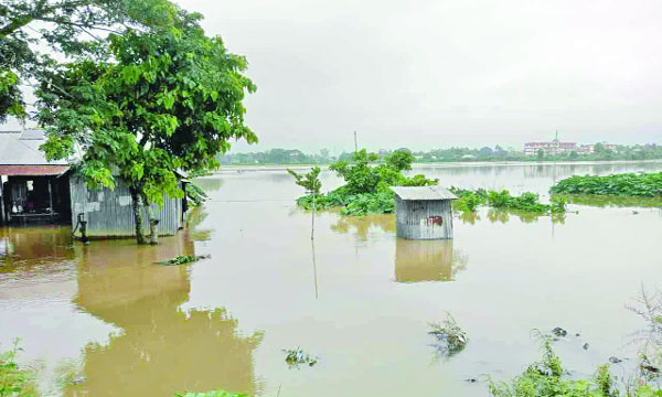 পাহাড়ি ঢলের পানিতে তলিয়ে গেছে ব্রাহ্মণবাড়িয়ার বিস্তীর্ণ নিম্নাঞ্চল