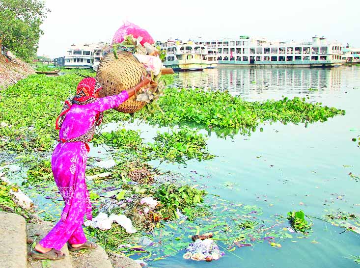 বুড়িগঙ্গা নদীতে ফেলা হচ্ছে পচা সবজি ও আবর্জনা। এতে দূষিত হচ্ছে পানি ও পরিবেশ : নাসিম সিকদার