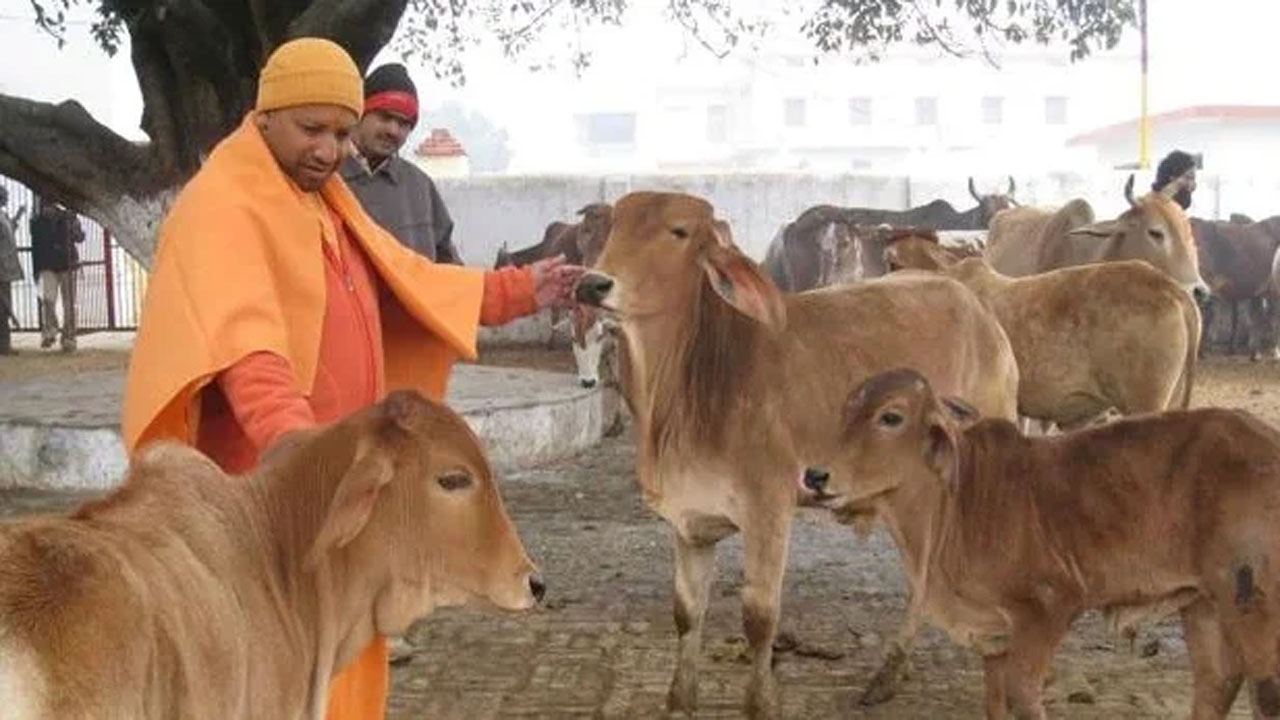 গরুর সাথে রাজ্যটির মুখ্যমন্ত্রী