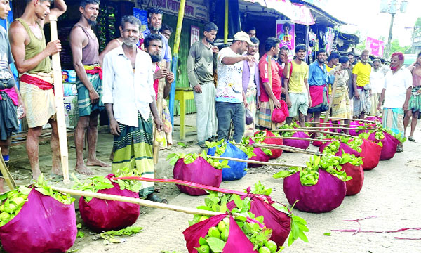 লাল কাপড়ের পুটলিতে বিক্রির জন্য আনা চন্দনাইশের কাঞ্চন নগর জাতের পেয়ারা। ছবিটি গতকাল বাগিচাহাট থেকে তোলা  : নয়া দিগন্ত