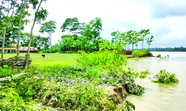 বিষখালী নদীর অব্যাহত ভাঙনে হুমকিতে পড়েছে নলছিটির দু’টি বিদ্যালয় : নয়া দিগন্ত