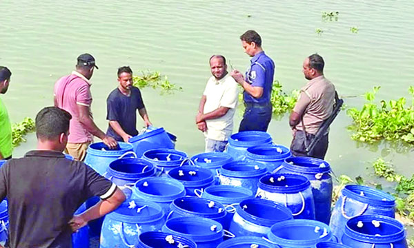 কেরানীগঞ্জে উদ্ধার করা ৩ লক্ষাধিক চিংড়ির রেনু ধলেশ্বরী নদীতে অবমুক্ত করা হয় :  নয়া দিগন্ত