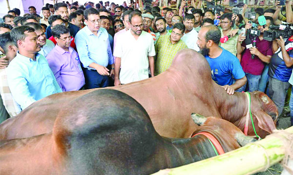 রাজধানীর গাবতলীতে স্থায়ী পশুরহাট পরিদর্শন করেন প্রাণীসম্প্রদ প্রতিমন্ত্রী সুলতান সালাউদ্দীন টুকু : নয়া দিগন্ত