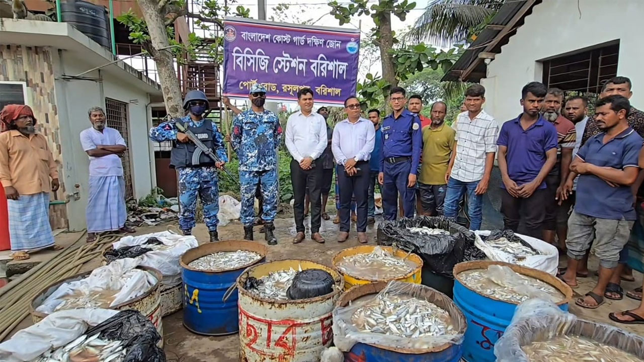 নলছিটিতে সাড়ে ৪২ মণ জাটকা জব্দ করে কোস্ট গার্ড