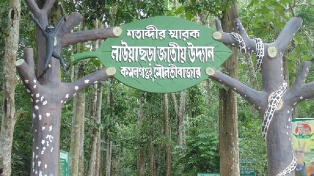 লাউয়াছড়া উদ্যান